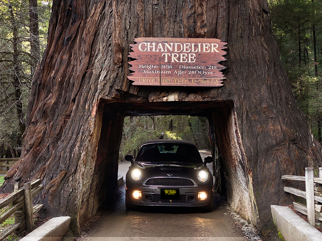chandeliertree.jpg[img]